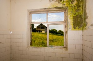 Professional water damage restoration