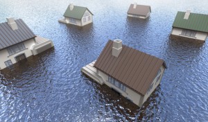 Professional water restoration
